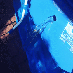 deepcheapkronosaurus-size_restricted